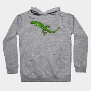 Drawing - peacock day gecko Hoodie